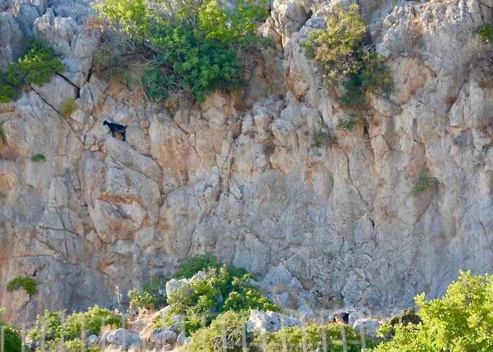 Kokinogremos Καλυθιές